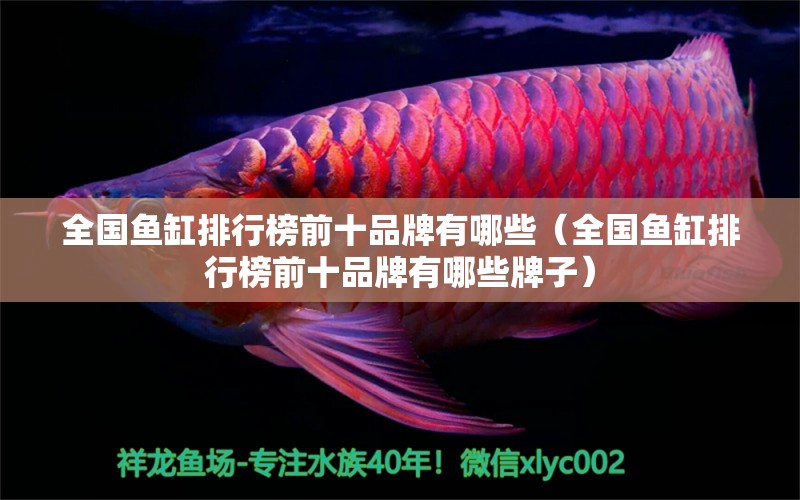 全國魚缸排行榜前十品牌有哪些（全國魚缸排行榜前十品牌有哪些牌子）