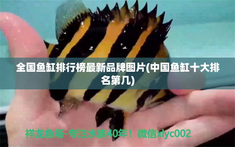 全國魚缸排行榜最新品牌圖片(中國魚缸十大排名第幾)