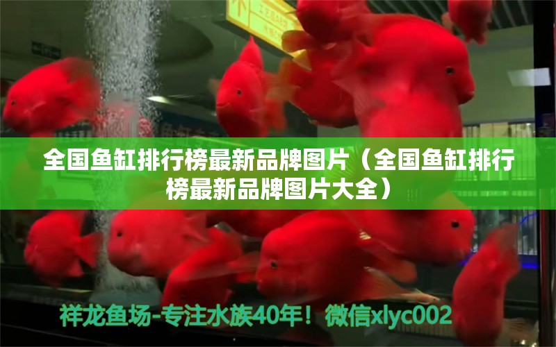 全國(guó)魚(yú)缸排行榜最新品牌圖片（全國(guó)魚(yú)缸排行榜最新品牌圖片大全）