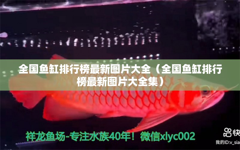 全國魚缸排行榜最新圖片大全（全國魚缸排行榜最新圖片大全集）