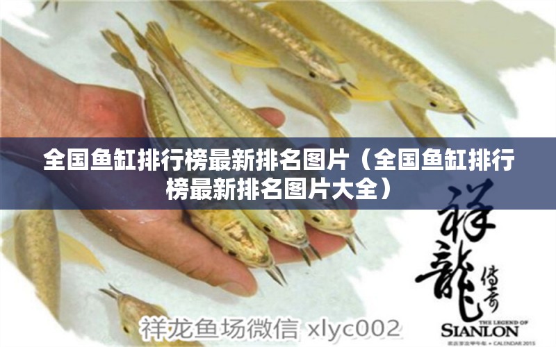 全國魚缸排行榜最新排名圖片（全國魚缸排行榜最新排名圖片大全） 其他品牌魚缸