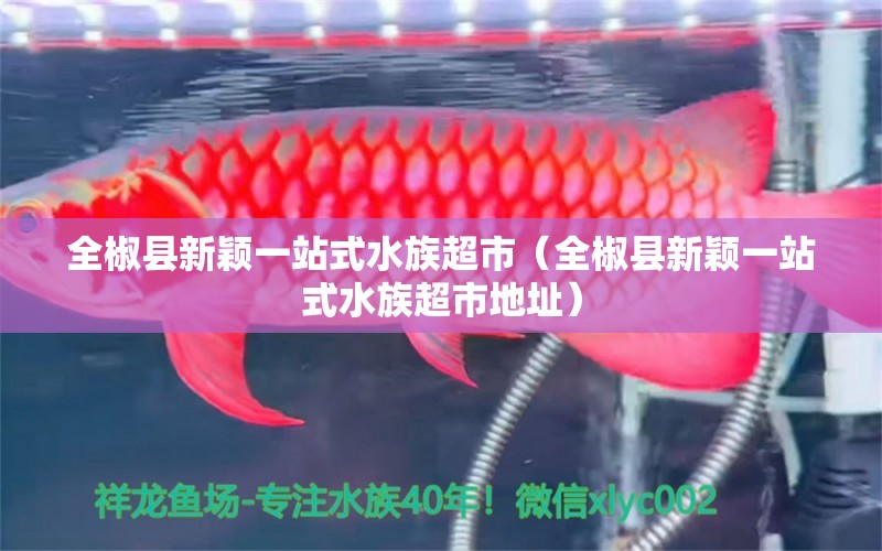 全椒縣新穎一站式水族超市（全椒縣新穎一站式水族超市地址）