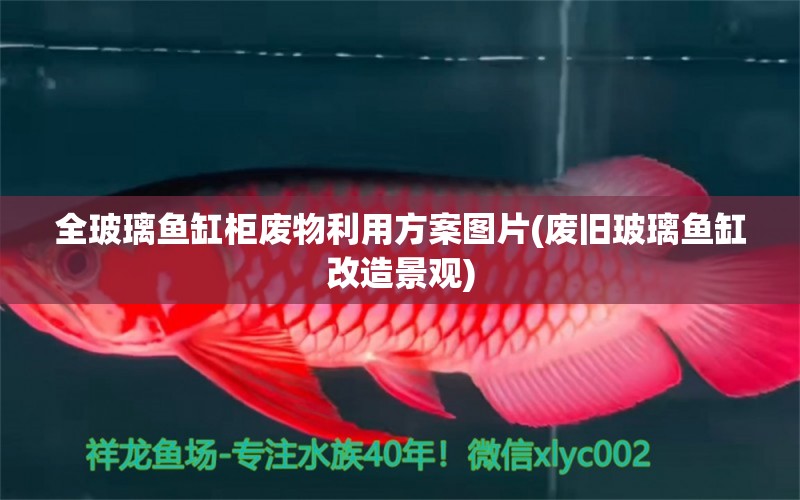 全玻璃魚缸柜廢物利用方案圖片(廢舊玻璃魚缸改造景觀) 魚缸凈水劑