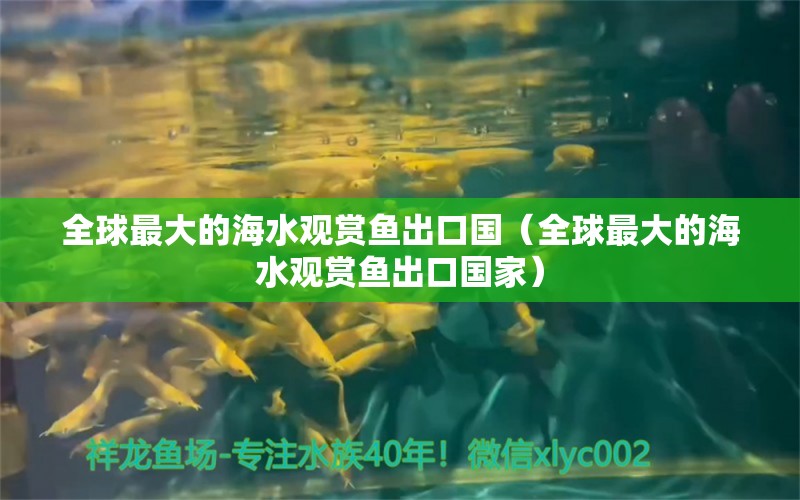 全球最大的海水觀賞魚出口國（全球最大的海水觀賞魚出口國家）