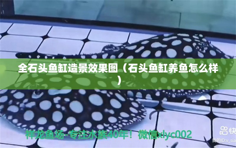 全石頭魚缸造景效果圖（石頭魚缸養(yǎng)魚怎么樣）