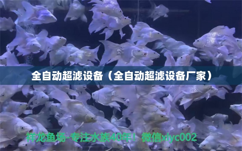 全自動(dòng)超濾設(shè)備（全自動(dòng)超濾設(shè)備廠家） 觀賞魚市場(chǎng)（混養(yǎng)魚）