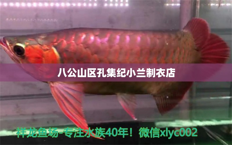 八公山區(qū)孔集紀小蘭制衣店 全國水族館企業(yè)名錄