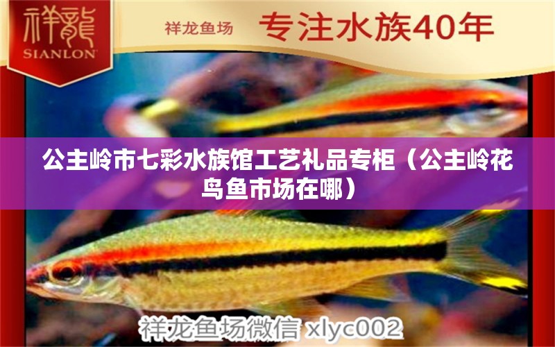 公主嶺市七彩水族館工藝禮品專(zhuān)柜（公主嶺花鳥(niǎo)魚(yú)市場(chǎng)在哪）