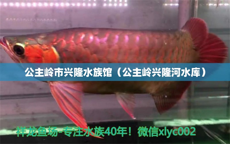 公主嶺市興隆水族館（公主嶺興隆河水庫(kù)）