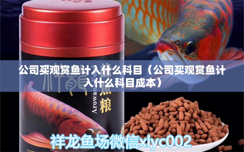 公司買觀賞魚計入什么科目（公司買觀賞魚計入什么科目成本）