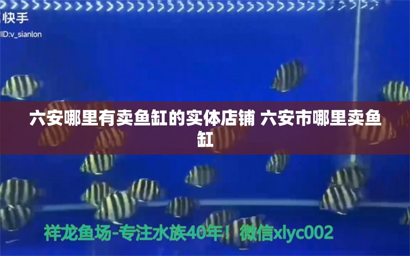 六安哪里有賣魚缸的實體店鋪 六安市哪里賣魚缸