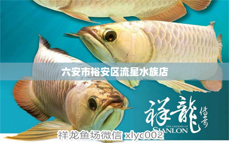 六安市裕安區(qū)流星水族店 全國水族館企業(yè)名錄