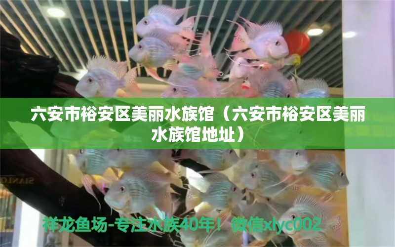 六安市裕安區(qū)美麗水族館（六安市裕安區(qū)美麗水族館地址） 全國水族館企業(yè)名錄