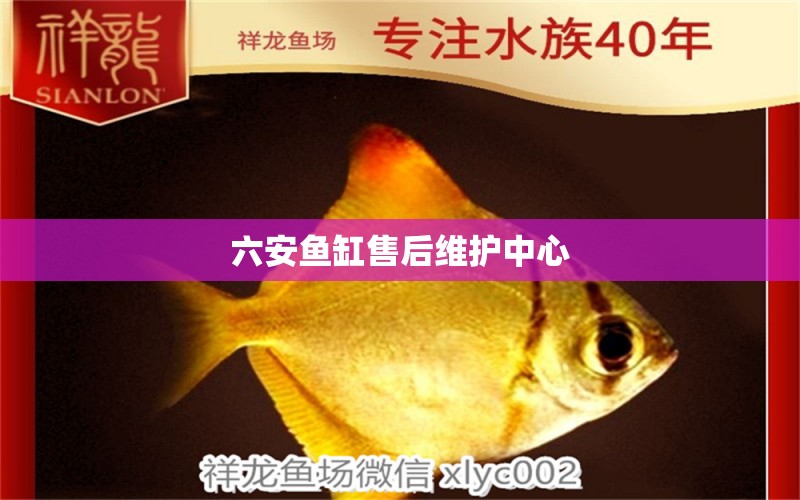 六安魚缸售后維護(hù)中心