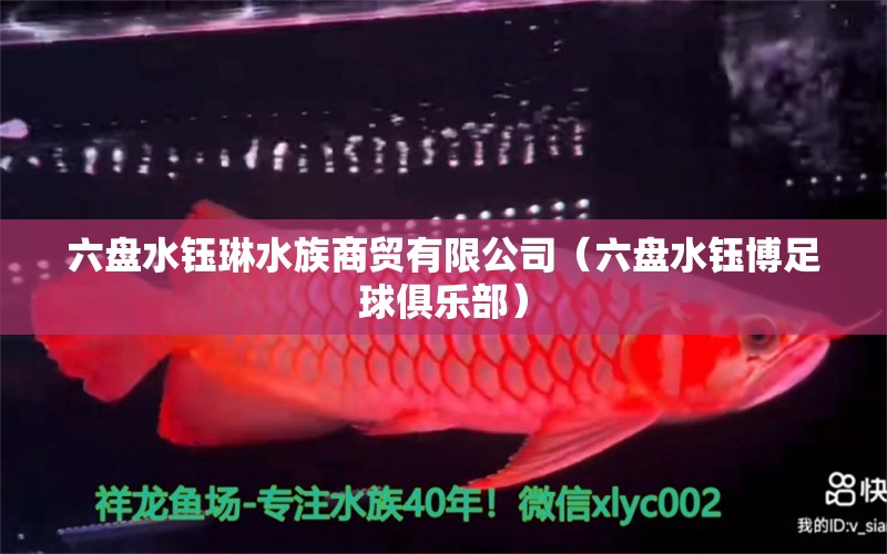 六盤水鈺琳水族商貿(mào)有限公司（六盤水鈺博足球俱樂部） 全國水族館企業(yè)名錄