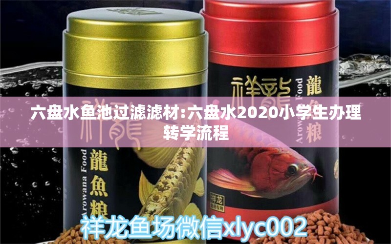 六盤(pán)水魚(yú)池過(guò)濾濾材:六盤(pán)水2020小學(xué)生辦理轉(zhuǎn)學(xué)流程 廣州水族器材濾材批發(fā)市場(chǎng)