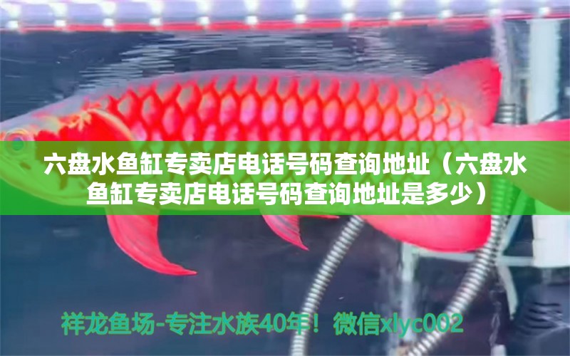 六盤水魚缸專賣店電話號碼查詢地址（六盤水魚缸專賣店電話號碼查詢地址是多少）