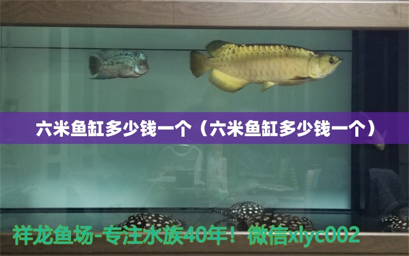 六米魚缸多少錢一個（六米魚缸多少錢一個）