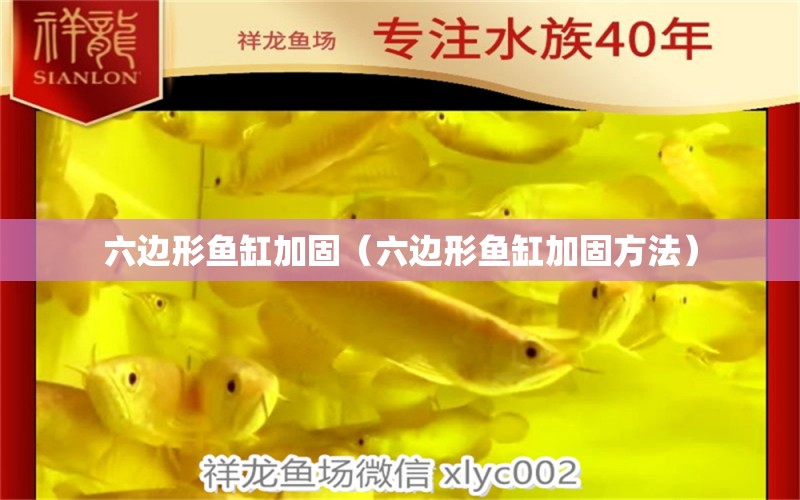 六邊形魚缸加固（六邊形魚缸加固方法）