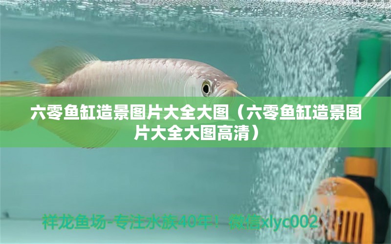 六零魚缸造景圖片大全大圖（六零魚缸造景圖片大全大圖高清）