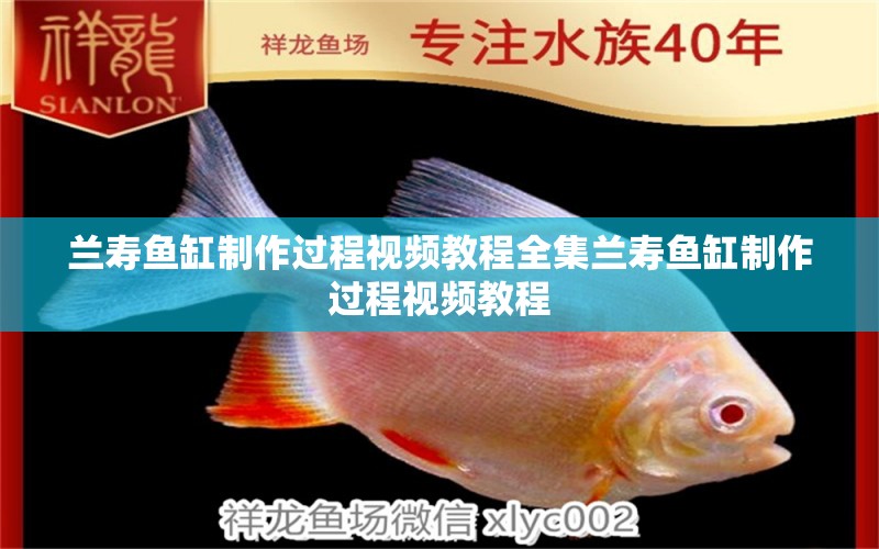 蘭壽魚缸制作過程視頻教程全集蘭壽魚缸制作過程視頻教程