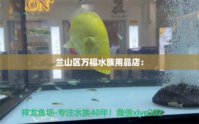 蘭山區(qū)萬福水族用品店： 水族用品