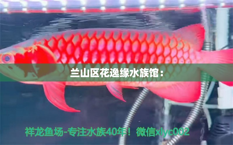 蘭山區(qū)花逸緣水族館： 全國水族館企業(yè)名錄