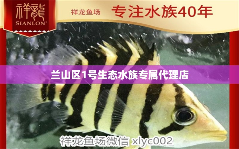 蘭山區(qū)1號生態(tài)水族專屬代理店 全國水族館企業(yè)名錄