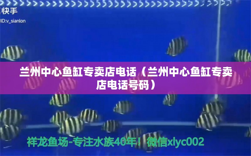 蘭州中心魚缸專賣店電話（蘭州中心魚缸專賣店電話號碼） 三間鼠魚