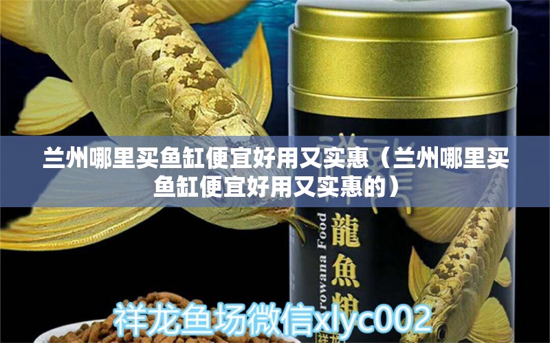 蘭州哪里買魚缸便宜好用又實惠（蘭州哪里買魚缸便宜好用又實惠的） 水草