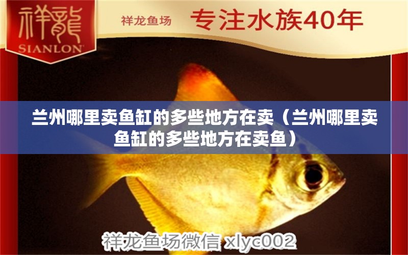 蘭州哪里賣魚缸的多些地方在賣（蘭州哪里賣魚缸的多些地方在賣魚）