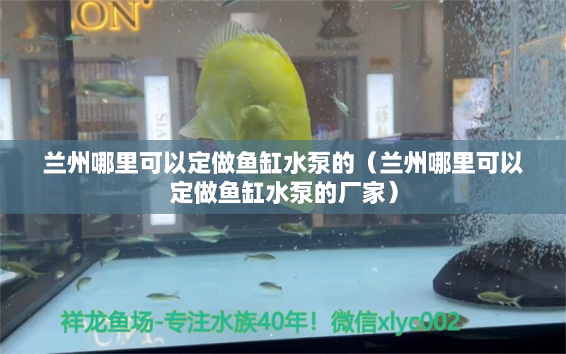 蘭州哪里可以定做魚缸水泵的（蘭州哪里可以定做魚缸水泵的廠家） 魚缸水泵