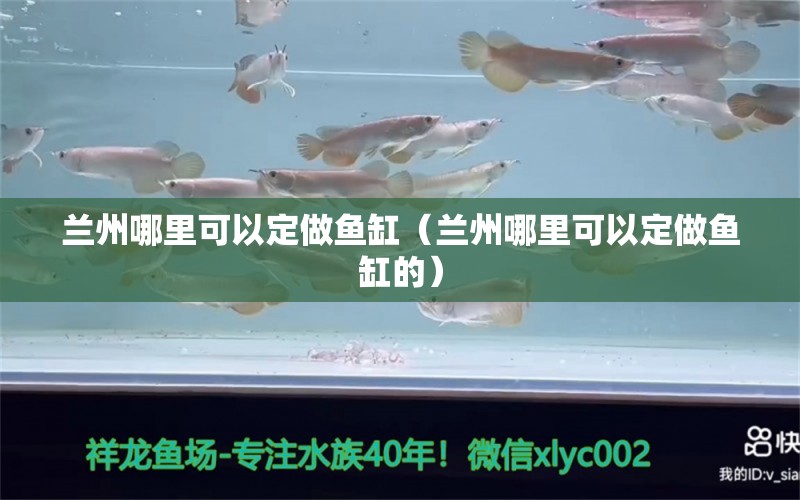 蘭州哪里可以定做魚缸（蘭州哪里可以定做魚缸的）