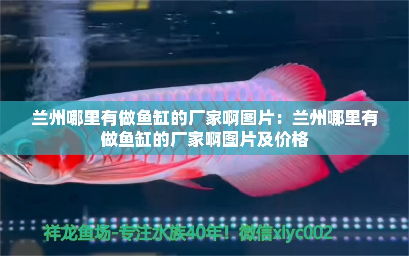 蘭州哪里有做魚缸的廠家啊圖片：蘭州哪里有做魚缸的廠家啊圖片及價(jià)格