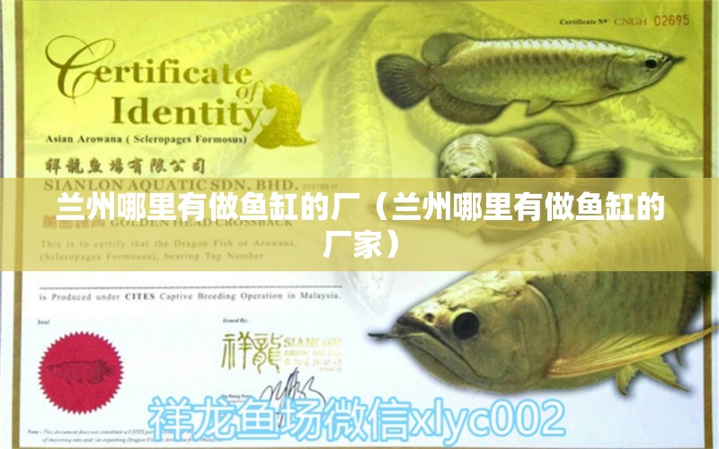 蘭州哪里有做魚缸的廠（蘭州哪里有做魚缸的廠家）