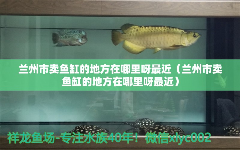 蘭州市賣魚缸的地方在哪里呀最近（蘭州市賣魚缸的地方在哪里呀最近）