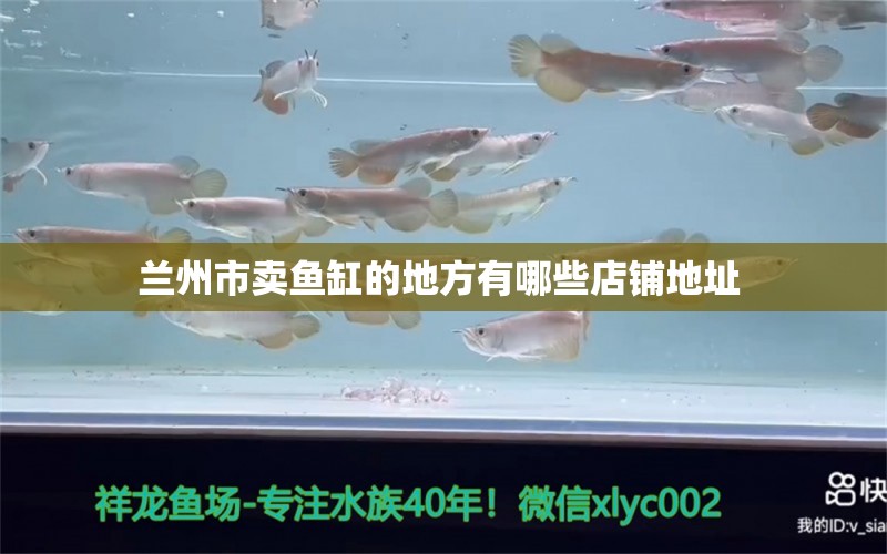 蘭州市賣魚缸的地方有哪些店鋪地址 