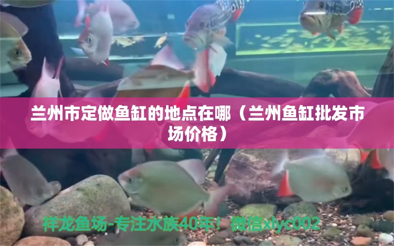 蘭州市定做魚缸的地點在哪（蘭州魚缸批發(fā)市場價格）