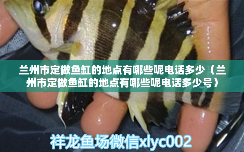 蘭州市定做魚缸的地點(diǎn)有哪些呢電話多少（蘭州市定做魚缸的地點(diǎn)有哪些呢電話多少號(hào)）