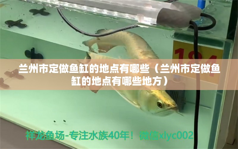 蘭州市定做魚缸的地點(diǎn)有哪些（蘭州市定做魚缸的地點(diǎn)有哪些地方）