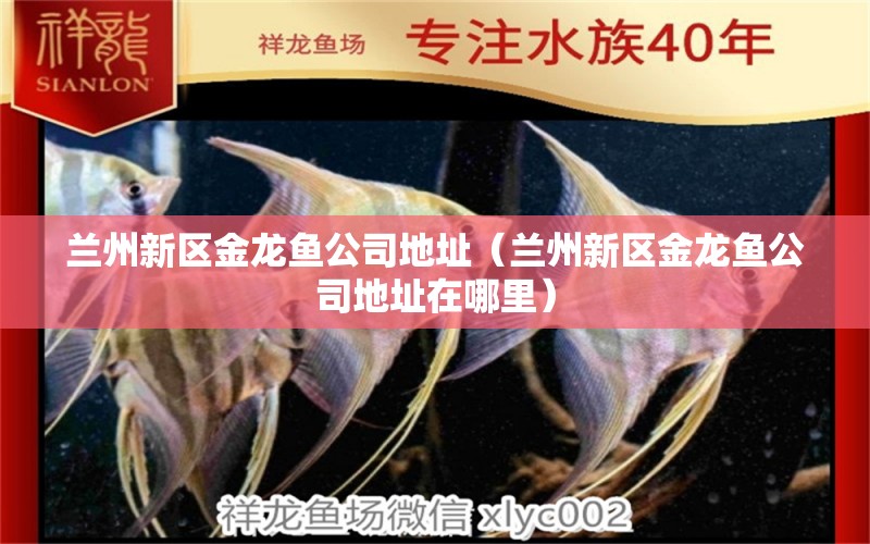 蘭州新區(qū)金龍魚公司地址（蘭州新區(qū)金龍魚公司地址在哪里）