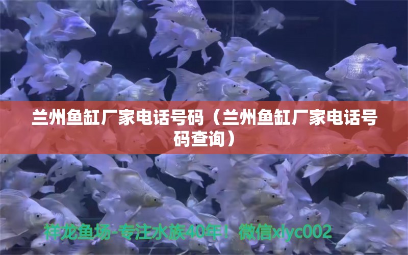 蘭州魚缸廠家電話號(hào)碼（蘭州魚缸廠家電話號(hào)碼查詢）