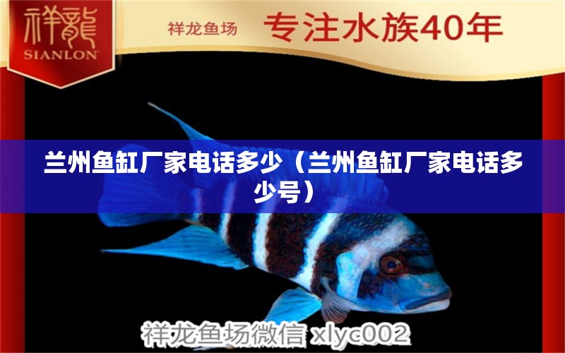 蘭州魚缸廠家電話多少（蘭州魚缸廠家電話多少號(hào)）