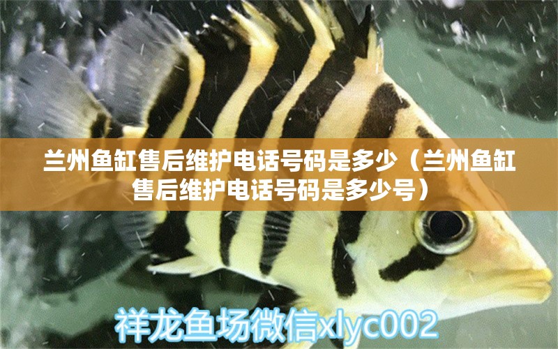 蘭州魚缸售后維護(hù)電話號(hào)碼是多少（蘭州魚缸售后維護(hù)電話號(hào)碼是多少號(hào)）