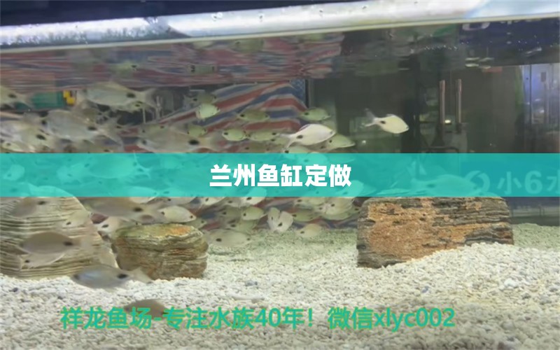 蘭州魚缸定做