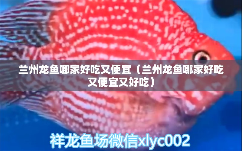 蘭州龍魚哪家好吃又便宜（蘭州龍魚哪家好吃又便宜又好吃）