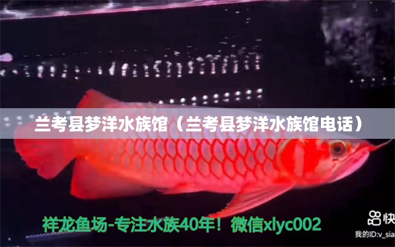 蘭考縣夢(mèng)洋水族館（蘭考縣夢(mèng)洋水族館電話）