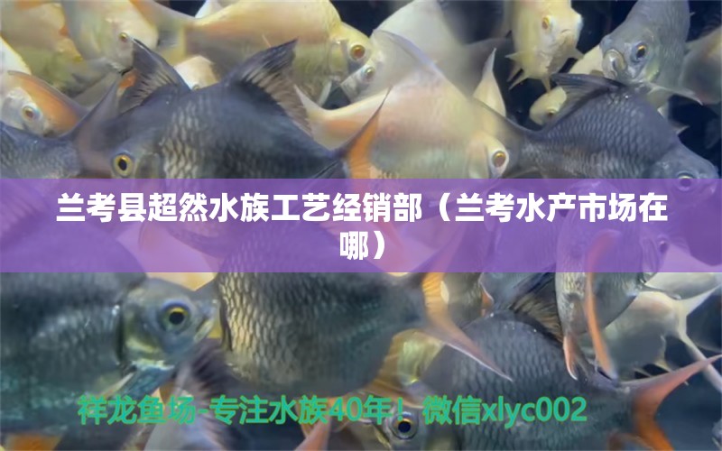 蘭考縣超然水族工藝經(jīng)銷(xiāo)部（蘭考水產(chǎn)市場(chǎng)在哪） 全國(guó)水族館企業(yè)名錄