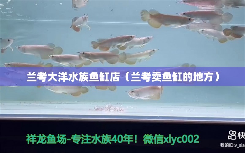 蘭考大洋水族魚缸店（蘭考賣魚缸的地方）