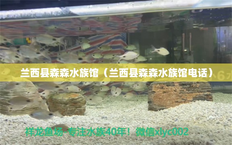 蘭西縣森森水族館（蘭西縣森森水族館電話） 全國水族館企業(yè)名錄